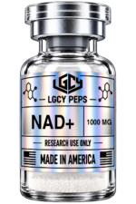 NAD+ - Image 2